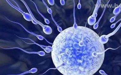 日本哪家医院排名三代试管婴儿？日本哪家医院三代试管婴儿比较好？