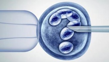 2026年想去乐平市做试管婴儿需要准备哪些事？详细收费明细一览