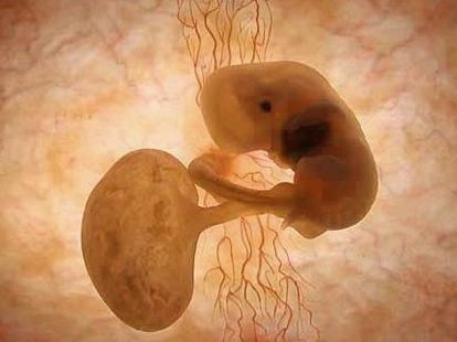 做了结扎手术可以在会理市试管医院做试管婴儿吗？费用是多少