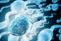 拉萨第三代试管婴儿哪个医院可以做？