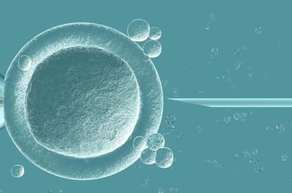 2026年的泰国试管婴儿医院排名前十！